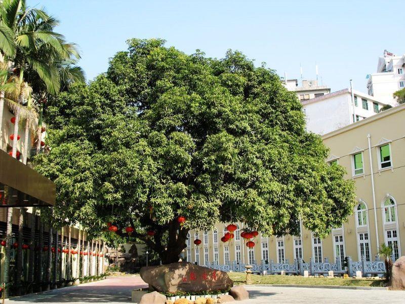 Hilford Hotel شيامن المظهر الخارجي الصورة